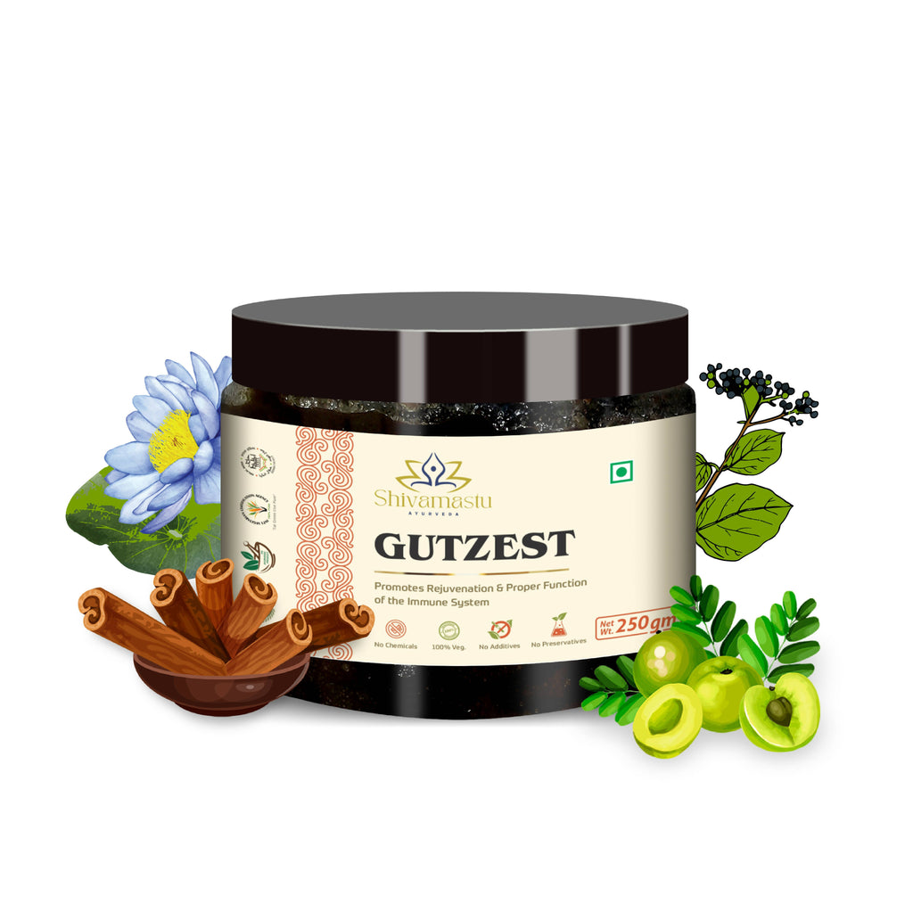 Shivamastu Ayurveda Gutzest Chyawanprash | Grocsy