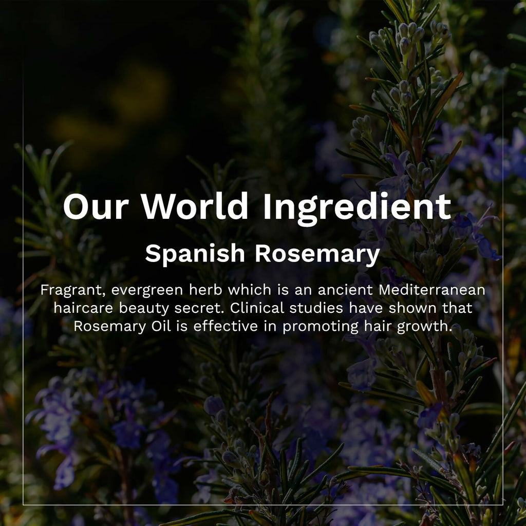 Pilgrim Spanish Rosemary & Biotin Hair Growth Oil To Control Hair Fall & Strengthens Hair | Grocsy