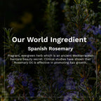 Pilgrim Spanish Rosemary & Biotin Hair Growth Oil To Control Hair Fall & Strengthens Hair | Grocsy