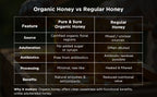 Pure & Sure Organic Honey