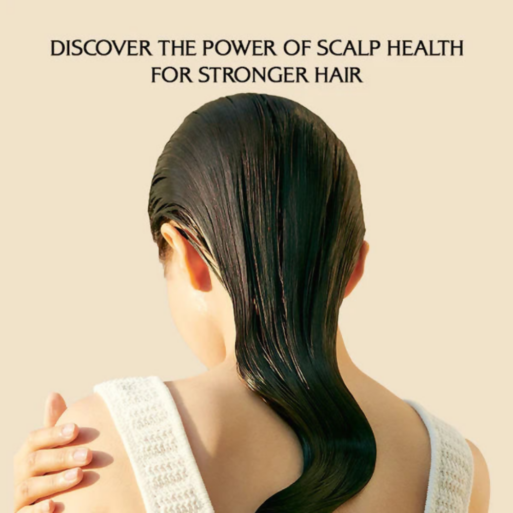 La'dor Dermatical Hair-Loss Shampoo For Normal To Dry Hair - Korean Shampoo for Scalp Care | Grocsy