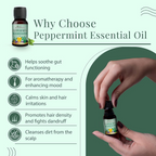 Satthwa Organic Peppermint Essential Oil | Grocsy