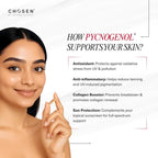 Chosen White Pine Pycnogenol Capsules for Internal Photo Protector And Pigmentation Fighter | Grocsy