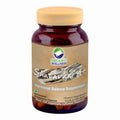 Organic Wellness Shatavari A+ | Grocsy