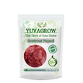 Yuvagrow Beetroot Papad