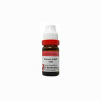 Dr. Reckeweg Ferrum Iod Dilution | Grocsy