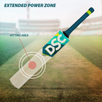 DSC Belter Wood Kashmir Willow Cricket Bat | Grocsy