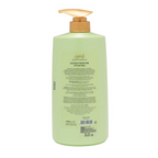 Pearlville Coconut Essential Shampoo | Grocsy
