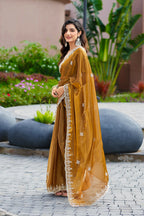 Vastranavya Brown Embroidery Work Shimmer Chiffon Saree with Unstitched Blouse | Grocsy