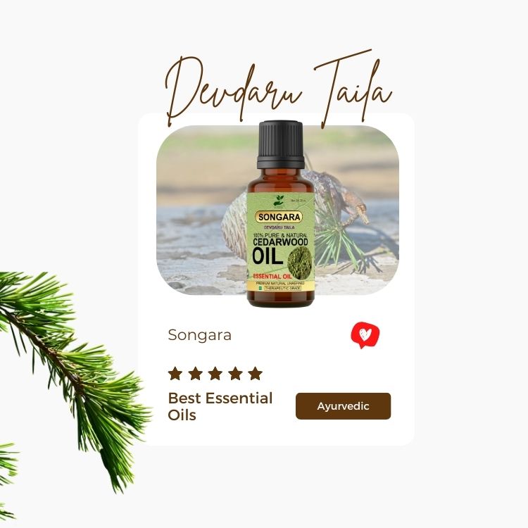 Songara Cedarwood Essential Oil | Grocsy