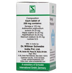Dr. Willmar Schwabe India Senega Pentarkan Ptk 77 Tablets | Grocsy
