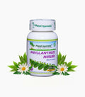 Planet Ayurveda Phyllanthus Niruri Capsules | Grocsy
