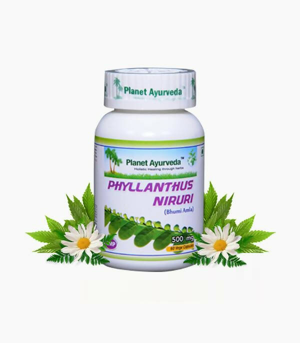 Planet Ayurveda Phyllanthus Niruri Capsules | Grocsy