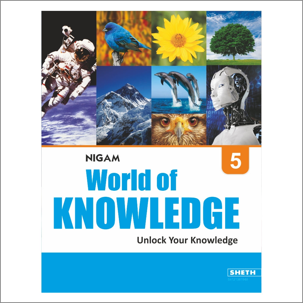 Self Enhancement Student Workbooks Grade 5| Set of 4|Computer-Grammar-World of Knowledge-Value Education|Ages 10-11 Year | Grocsy