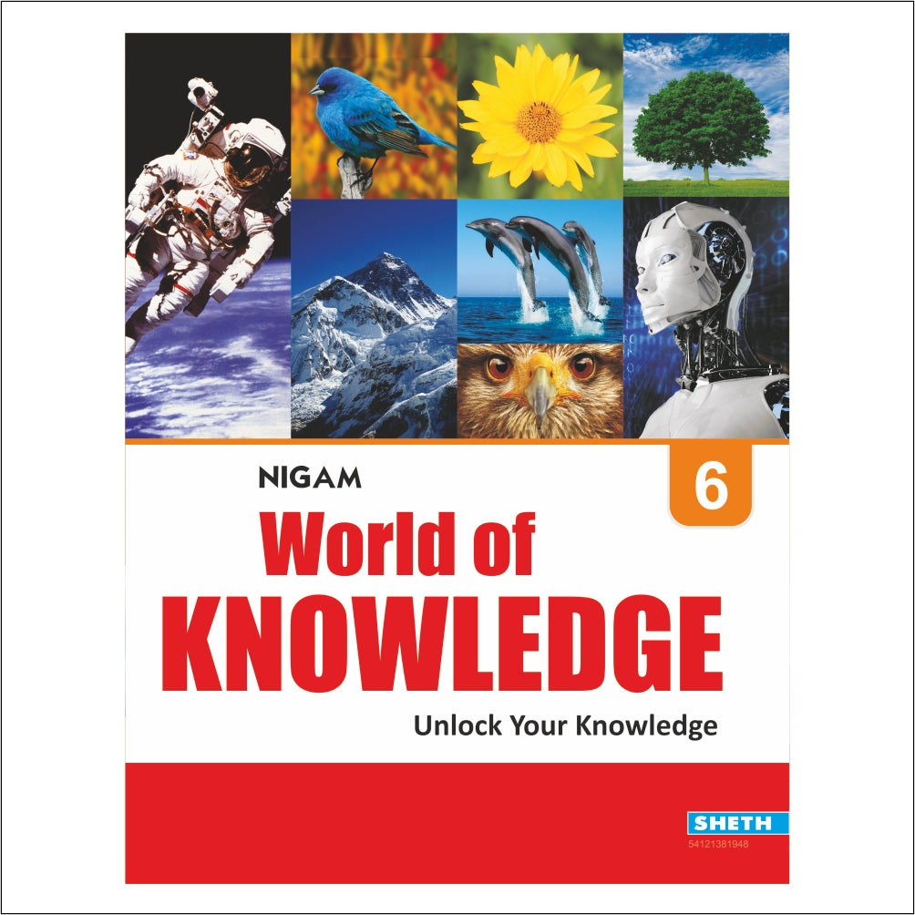 Self Enhancement Student Workbooks Grade 6| Set of 4|Computer-Grammar-World of Knowledge-Value Education|Ages 11-12 Year | Grocsy
