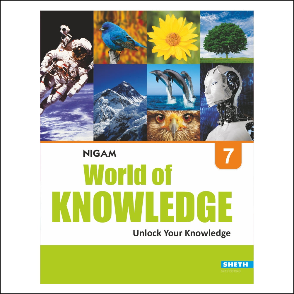 Self Enhancement Student Workbooks Grade 7| Set of 4|Computer-Grammar-World of Knowledge-Value Education|Ages 12-13 Year | Grocsy