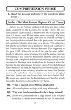 Sure Success Essays Letters Comprehension Part 1 for Std V to VII (ICSE & CBSE) | Grocsy