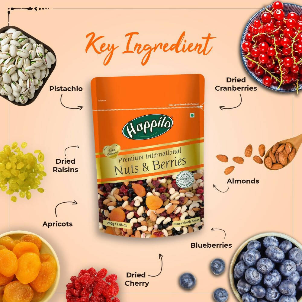Happilo Healthy & Tasty Premium Nuts and Berries Mix | Grocsy