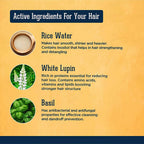 Beardhood Fermented Rice Water Shampoo | Grocsy
