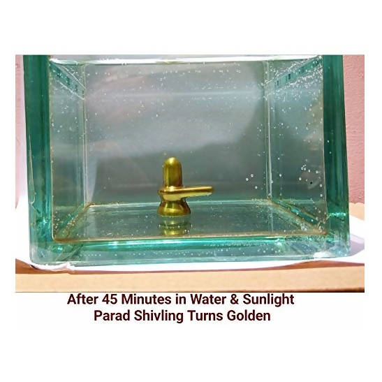 ‎G.S Rana Parad Shivling (50 Gram) Parad Shivling (29 mm) | Grocsy