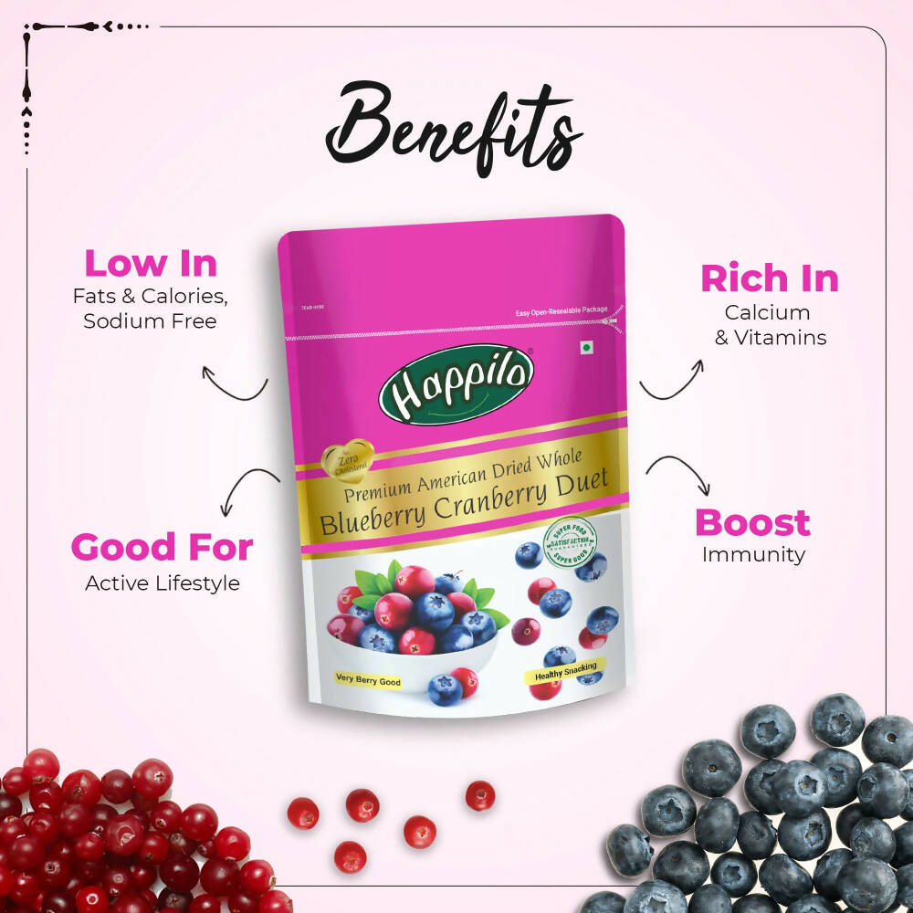 Happilo Premium Dried Blueberry Cranberry Duet | Grocsy
