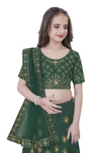 Dwiden Green Lehriyu Tafetta Sattin Semi-Stitched Girl's Lehenga Choli | Grocsy