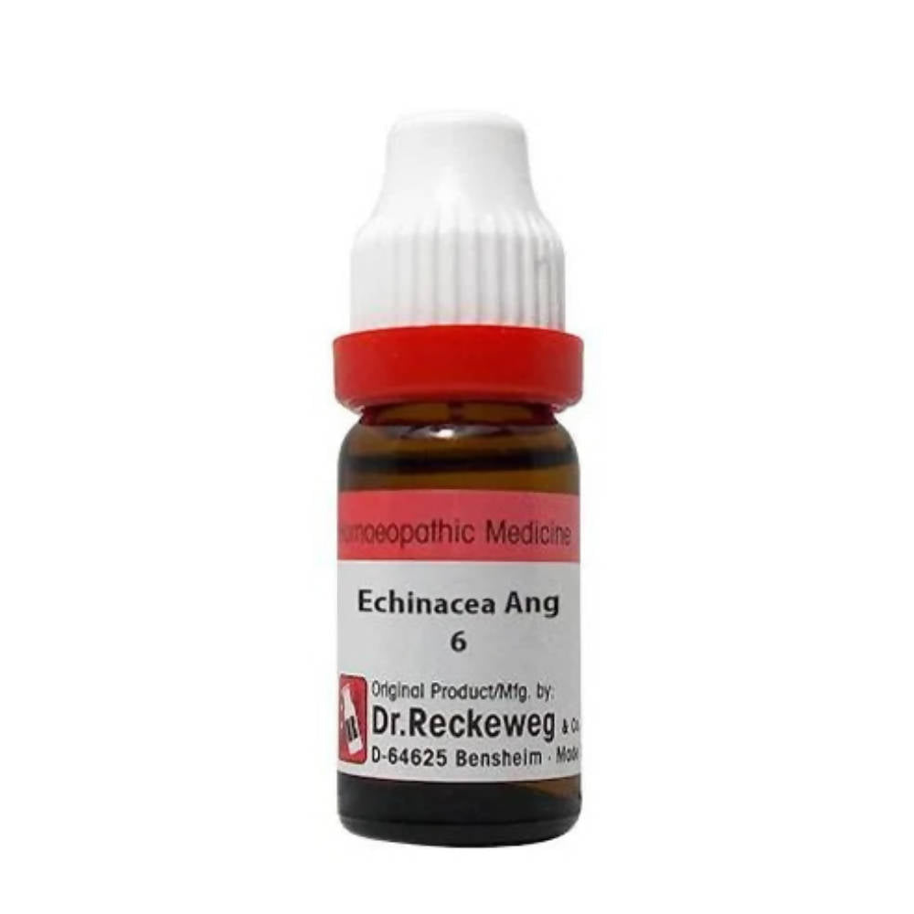 Dr. Reckeweg Echinacea Ang Dilution | Grocsy