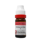 Dr. Reckeweg Echinacea Ang Dilution | Grocsy