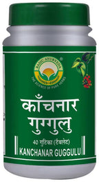 Basic Ayurveda Kanchanar Guggulu | Grocsy