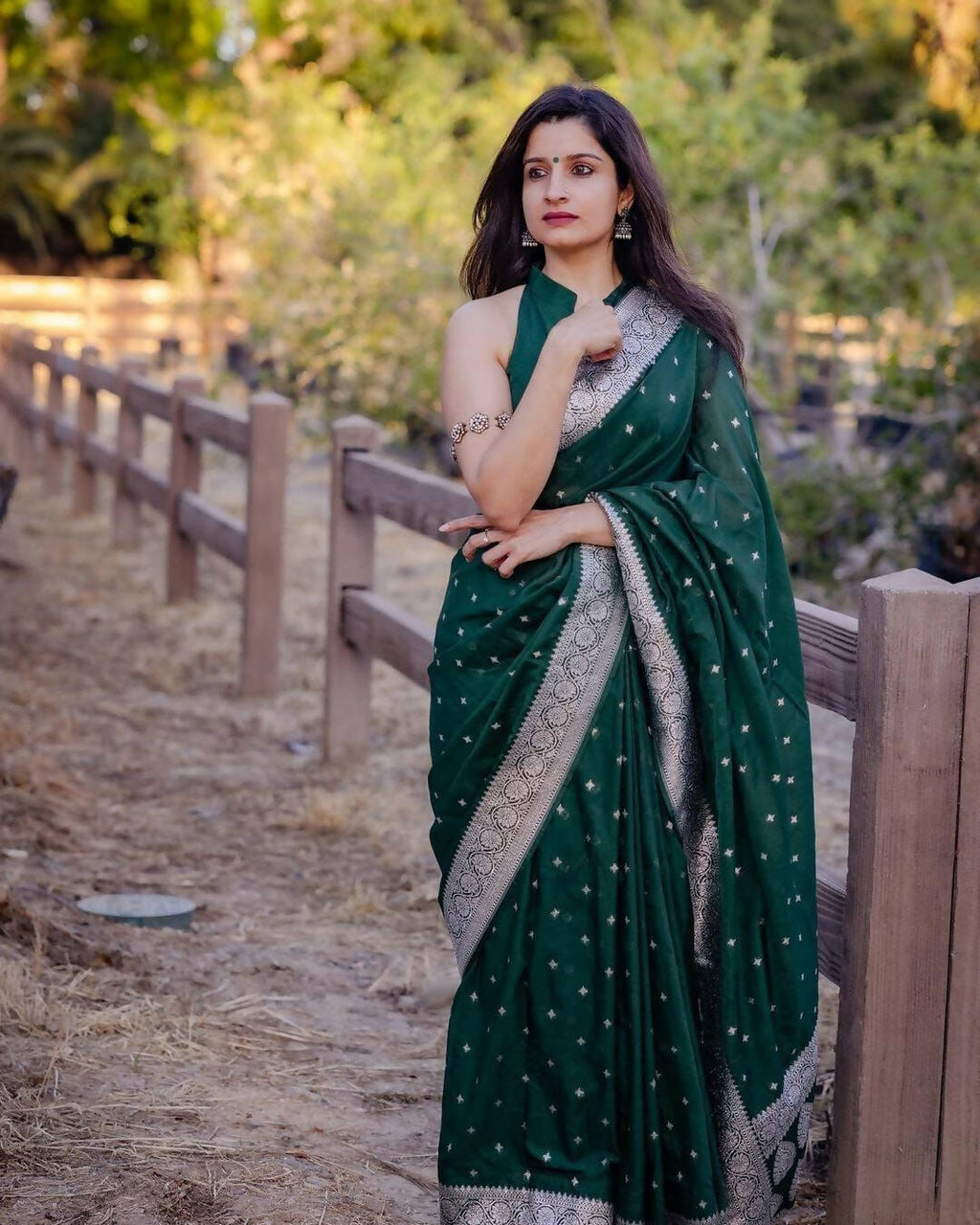 DEIANA'S Beautiful Designer Golden zari Soft Lichi Silk Saree - Green | Grocsy