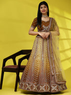 Brown Fancy Net Sequence Embroidered Lehenga Choli with Dupatta - Dhara | Grocsy
