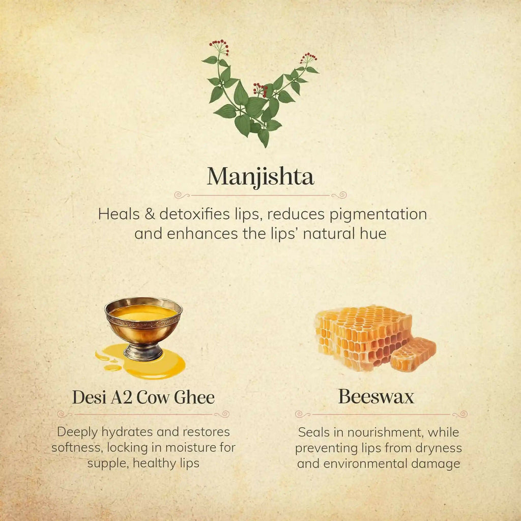 Chengavi Manjishta & Cow Ghee Lip Balm | Grocsy