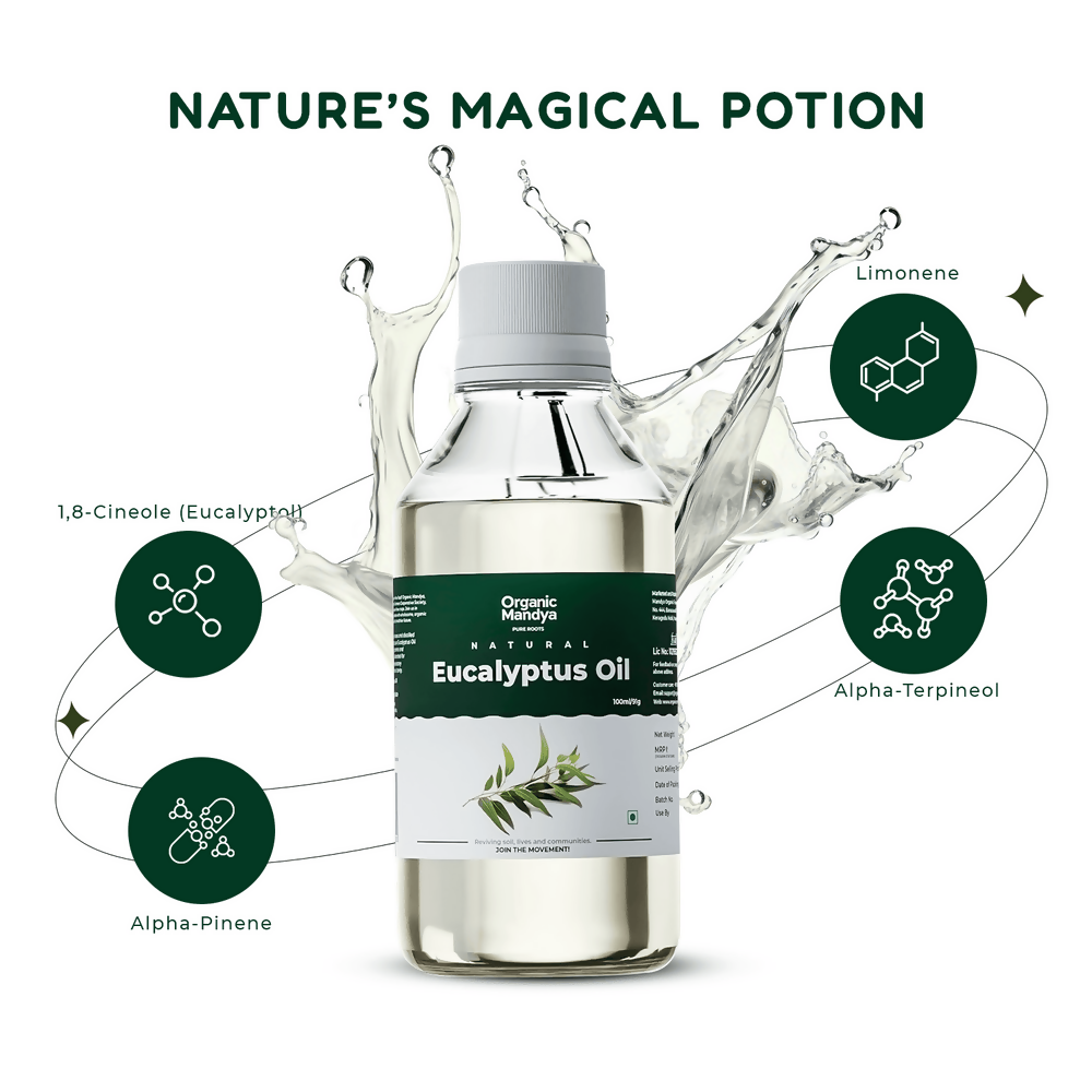 Organic Mandya Eucalyptus Oil | Grocsy