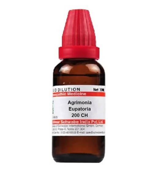 Dr. Willmar Schwabe India Agrimonia Eupatoria Dilution | Grocsy