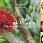 Organic AyurveGrocsyn Ashoka Bark Powder | Grocsy