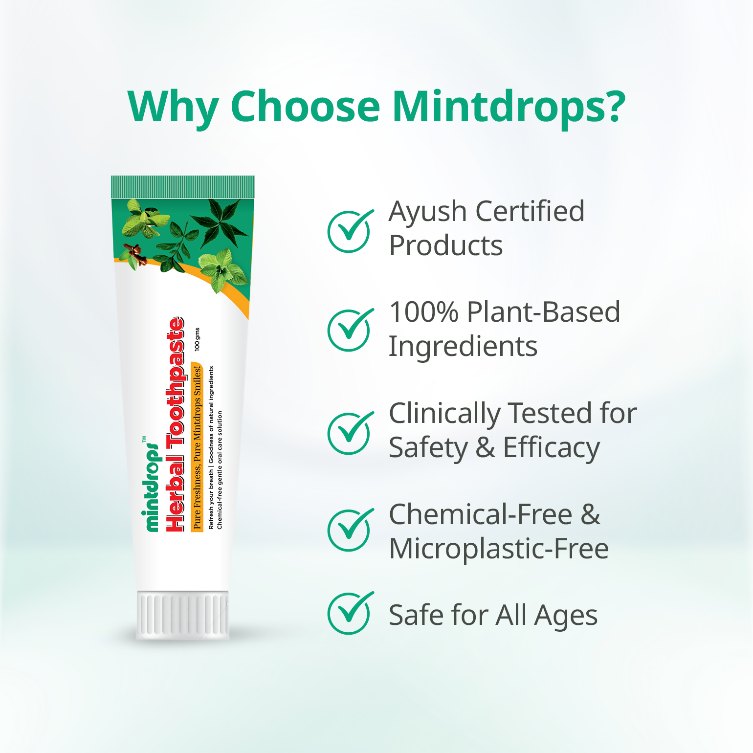 Mintdrops Herbal Toothpaste | Grocsy