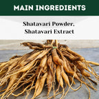 Herbal Hills Ayurveda Shatavarihills Capsules | Grocsy