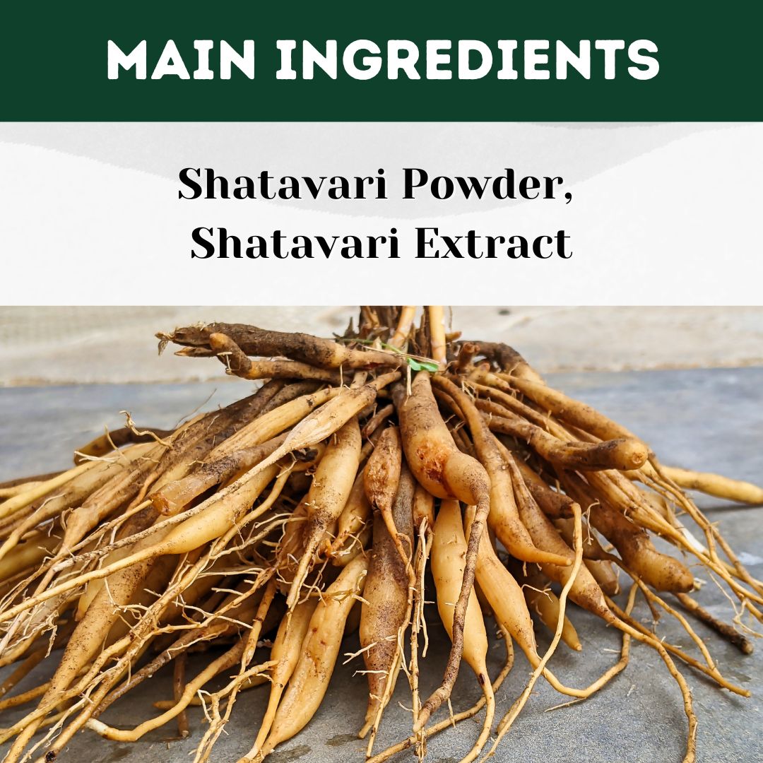 Herbal Hills Ayurveda Shatavarihills Capsules | Grocsy