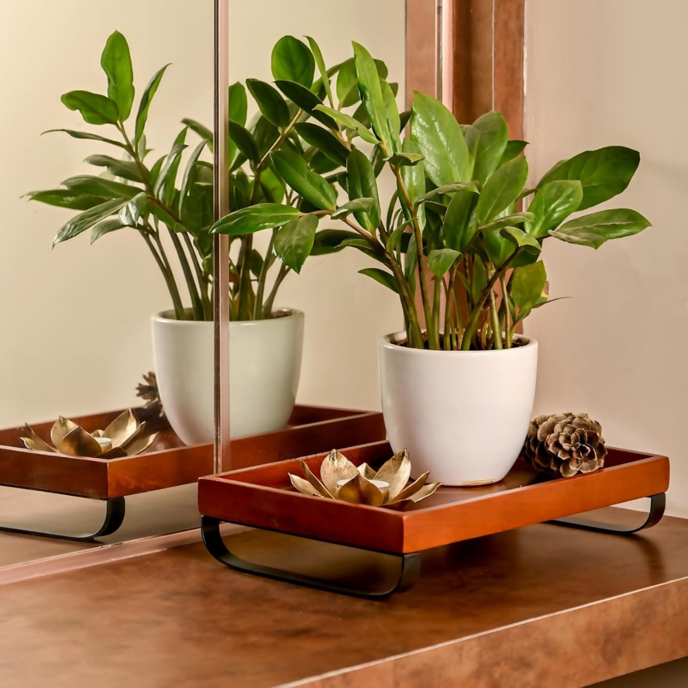 Brick Brown Premium Wooden Serving Tray/Platter with Black Metal Stand | Grocsy