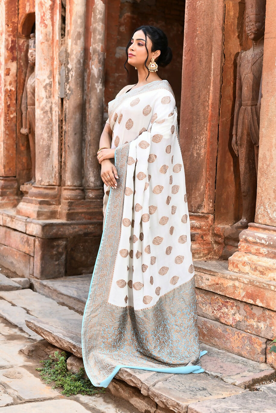 Joban Fashion Light Sky Blue Crepe Chiffon Pure Handloom Banarasi Silk Saree | Grocsy