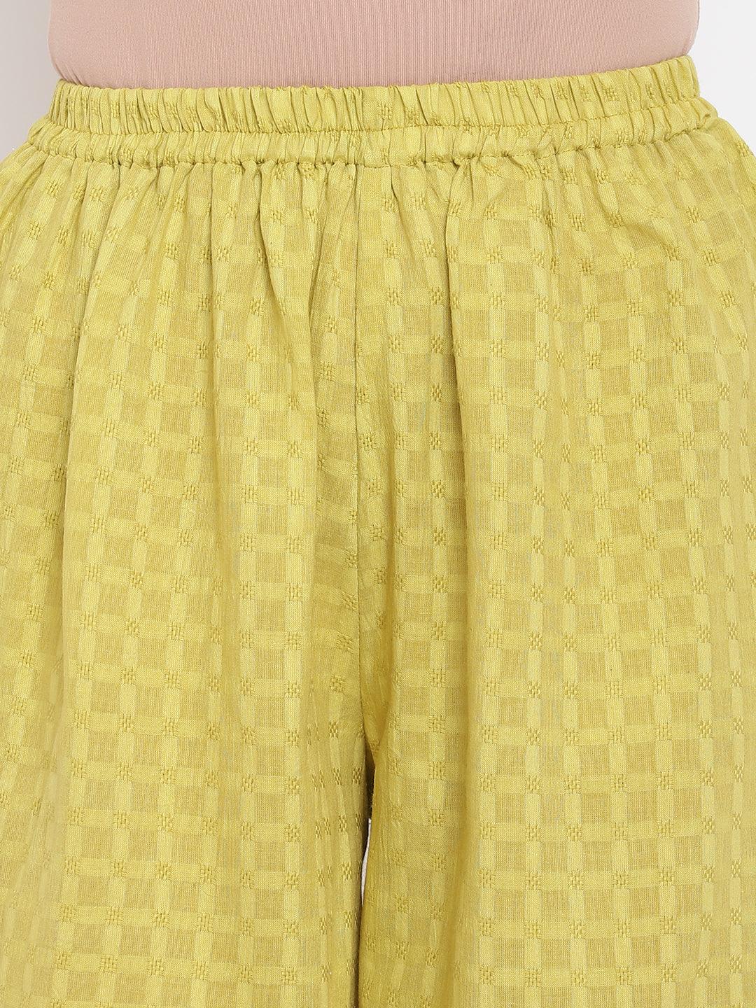 trueBrowns Green Cotton Pant | Grocsy