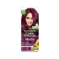 Garnier Color Naturals Ultra Hair Color - 6.26 Plum Red | Grocsy