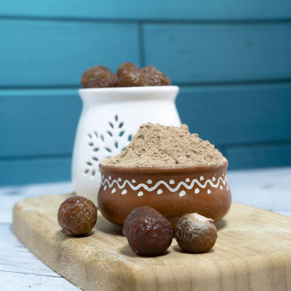 The Wellness Shop Organic Reetha Powder | Grocsy