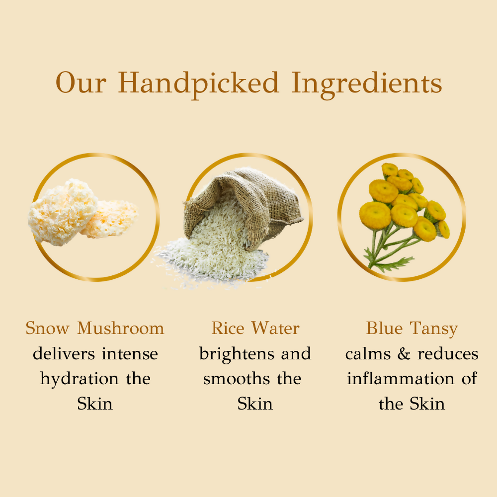 dBasic Hydra Boosting Gel, Lightweight Moisturizer with Snow Mushroom, Rice Water, Ceramides | Grocsy