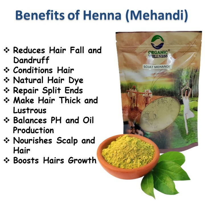 Organic Wellness Sojat Mehandi (Henna) | Grocsy