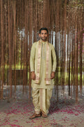 Olive Kanjivaram Machien Embroidered Pattu Set by Hilo Design | Grocsy
