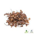 Oilcure Nagkesar | Grocsy