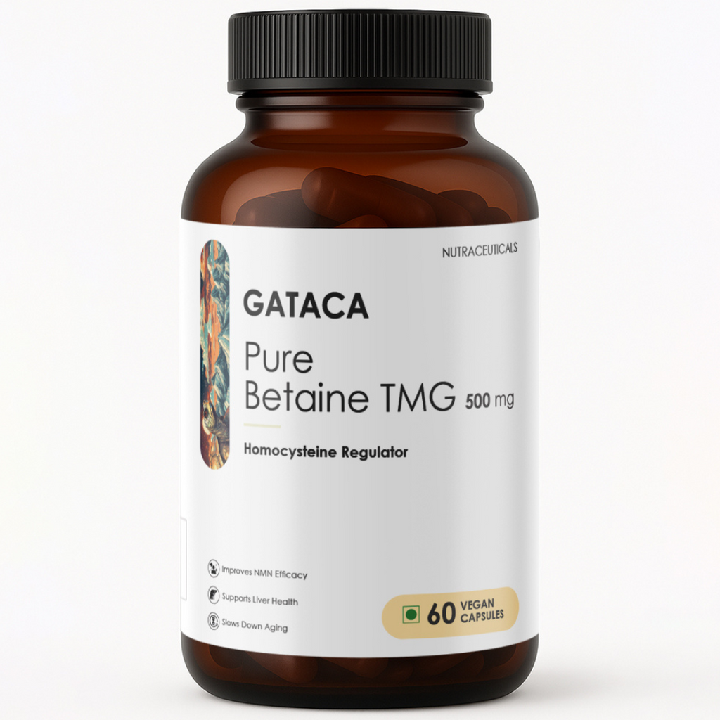 GATACA Pure Betaine TMG - 500 mg Capsules | Grocsy