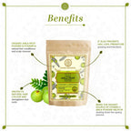 Khadi Natural Organic Amla Fruit Powder | Grocsy