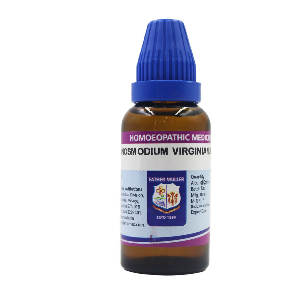 Father Muller Onosmodium Virginianum Dilution | Grocsy